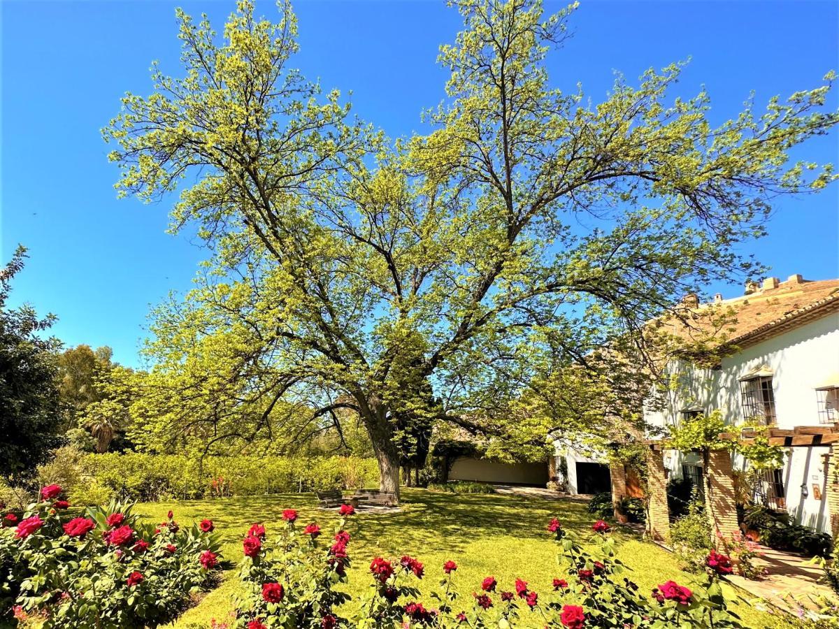 Villa Casa Santa catalina Alora Esterno foto